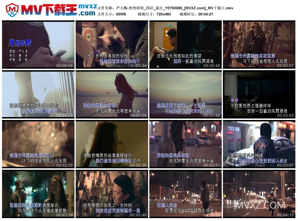 严天赐-兜兜转转_国语_流行_YE700085